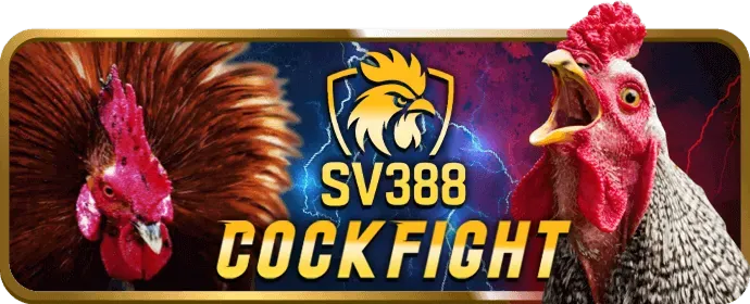 Đặt cược đá gà tại 2King88 chính thức